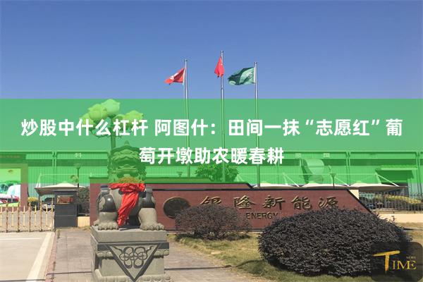 炒股中什么杠杆 阿图什：田间一抹“志愿红”葡萄开墩助农暖春耕