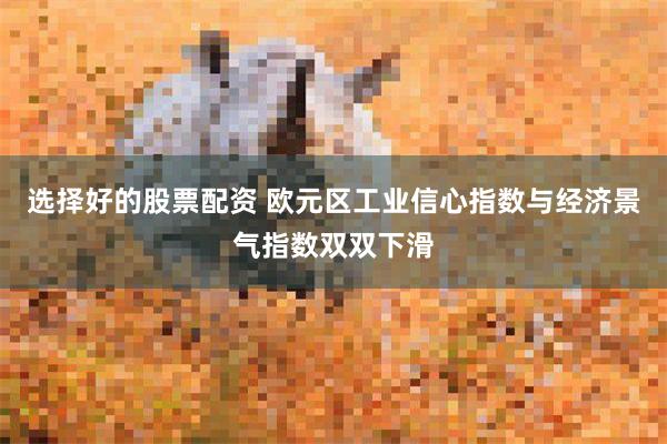 选择好的股票配资 欧元区工业信心指数与经济景气指数双双下滑