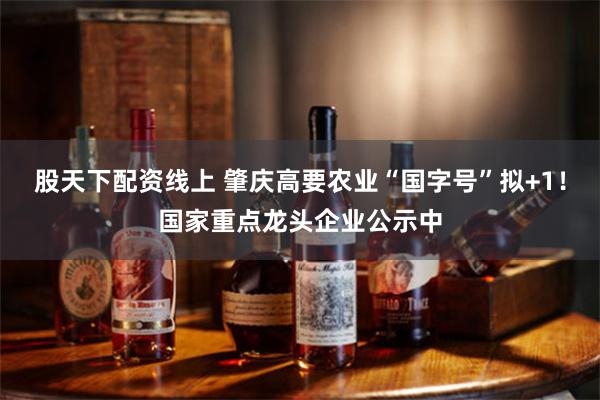股天下配资线上 肇庆高要农业“国字号”拟+1！国家重点龙头企业公示中