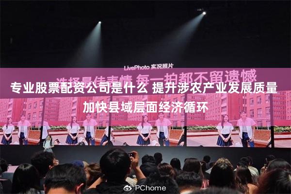 专业股票配资公司是什么 提升涉农产业发展质量 加快县域层面经济循环