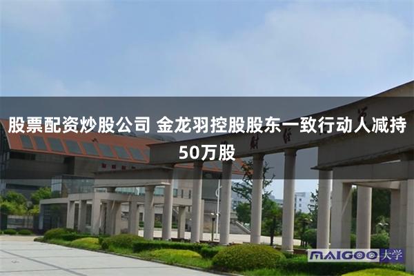 股票配资炒股公司 金龙羽控股股东一致行动人减持50万股
