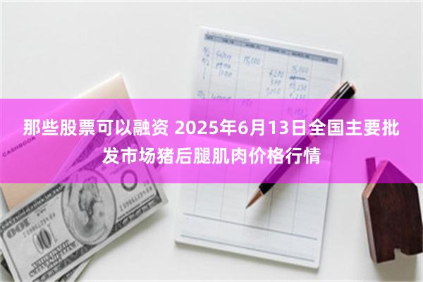 那些股票可以融资 2025年6月13日全国主要批发市场猪后腿肌肉价格行情