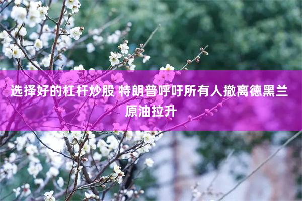 选择好的杠杆炒股 特朗普呼吁所有人撤离德黑兰 原油拉升