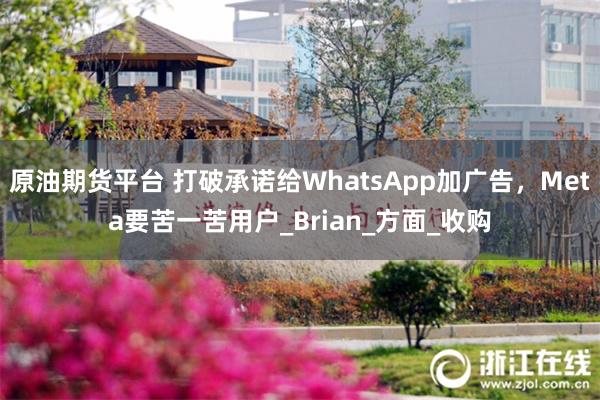 原油期货平台 打破承诺给WhatsApp加广告，Meta要苦一苦用户_Brian_方面_收购