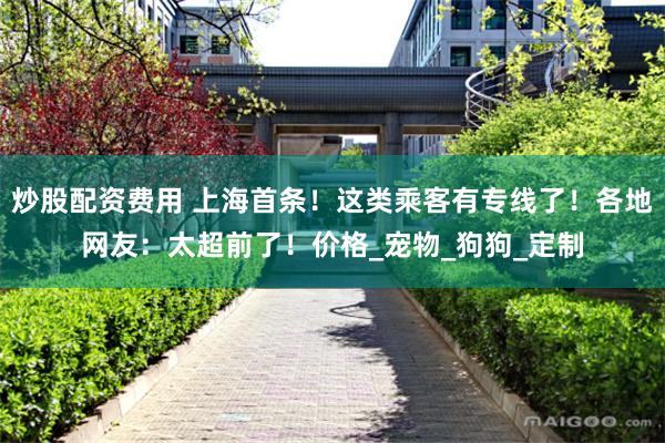 炒股配资费用 上海首条！这类乘客有专线了！各地网友：太超前了！价格_宠物_狗狗_定制