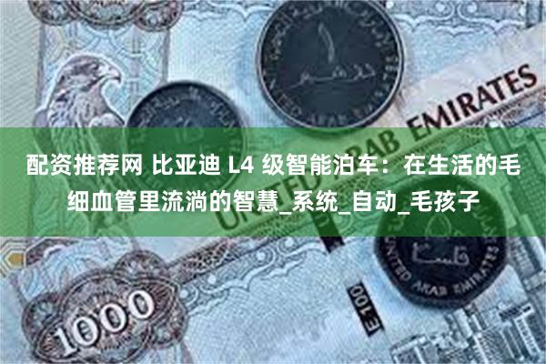 配资推荐网 比亚迪 L4 级智能泊车：在生活的毛细血管里流淌的智慧_系统_自动_毛孩子