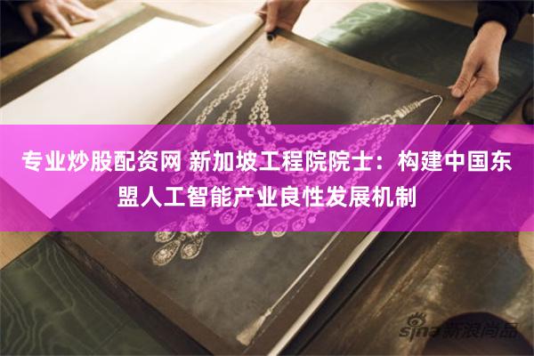 专业炒股配资网 新加坡工程院院士：构建中国东盟人工智能产业良性发展机制