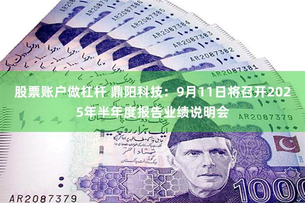 股票账户做杠杆 鼎阳科技：9月11日将召开2025年半年度报告业绩说明会