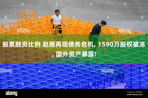股票融资比例 赵薇再现债务危机, 1590万股权被冻, 国外资产暴露!